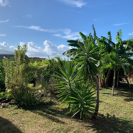 Gite Face A La Mer Des Caraibes Sainte-Rose Luaran gambar