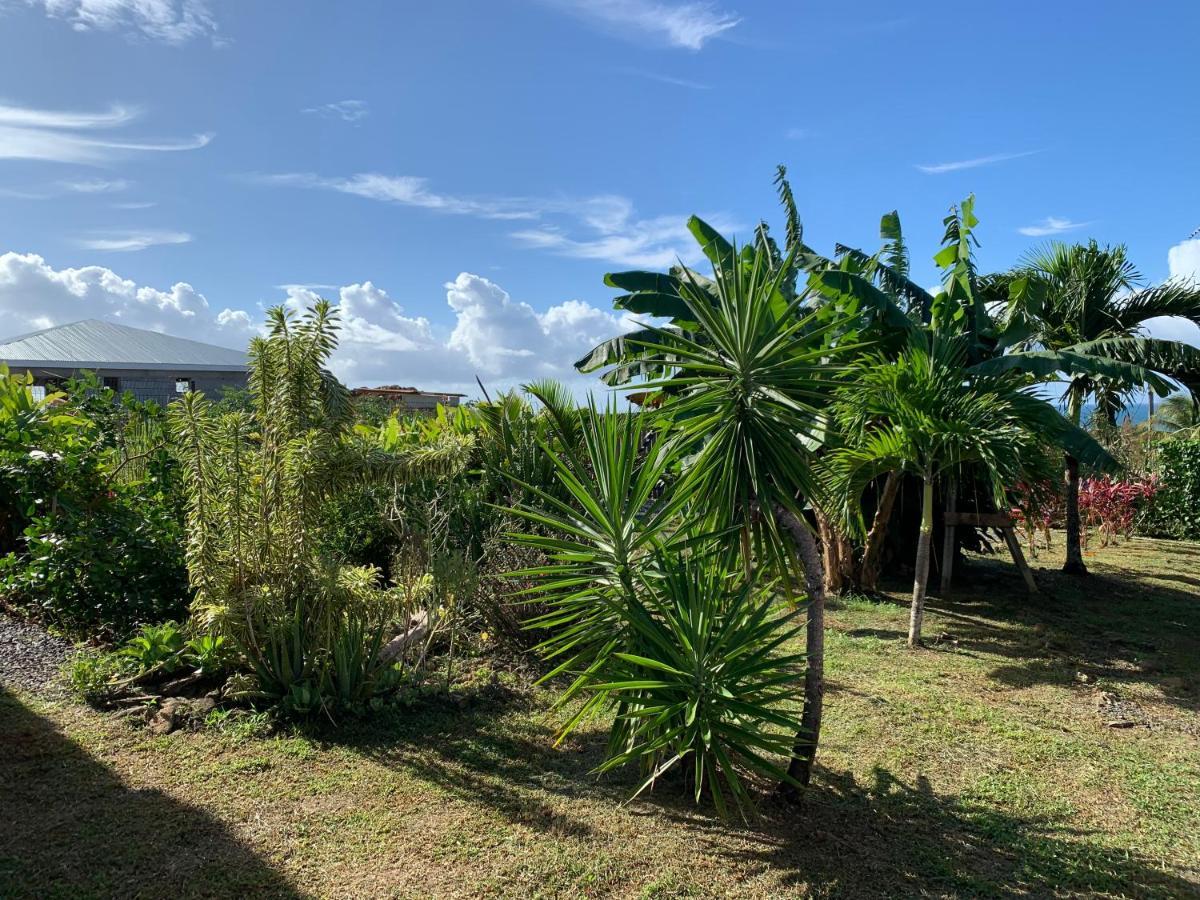 Gite Face A La Mer Des Caraibes Sainte-Rose Luaran gambar